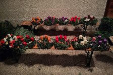 21.11.2024 Adventkranzbinden